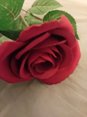 Valentijnsdag,Carnaval