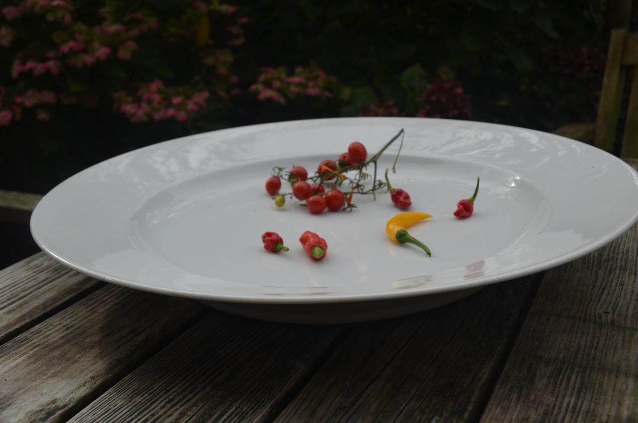 Schitterende witte aardewerk schaal / schotel ipst en groot!