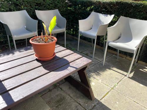 Vier kunststof tuinstoelen