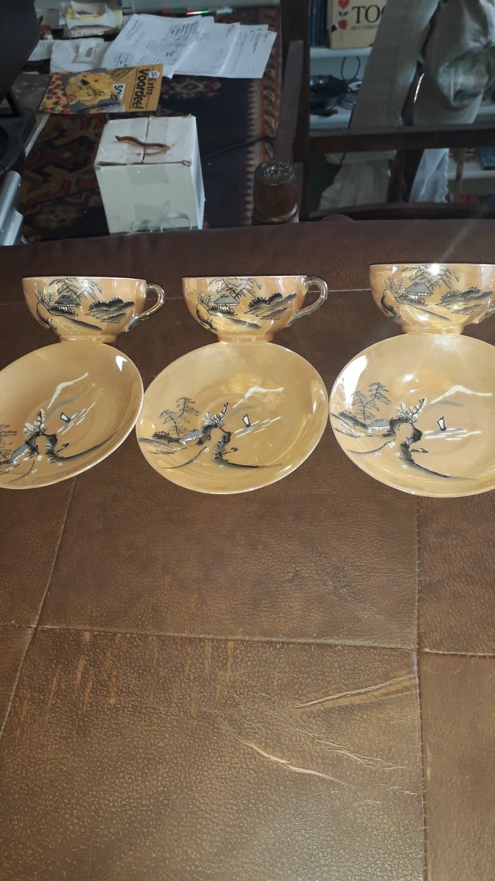 Japans blauw-bruin servies