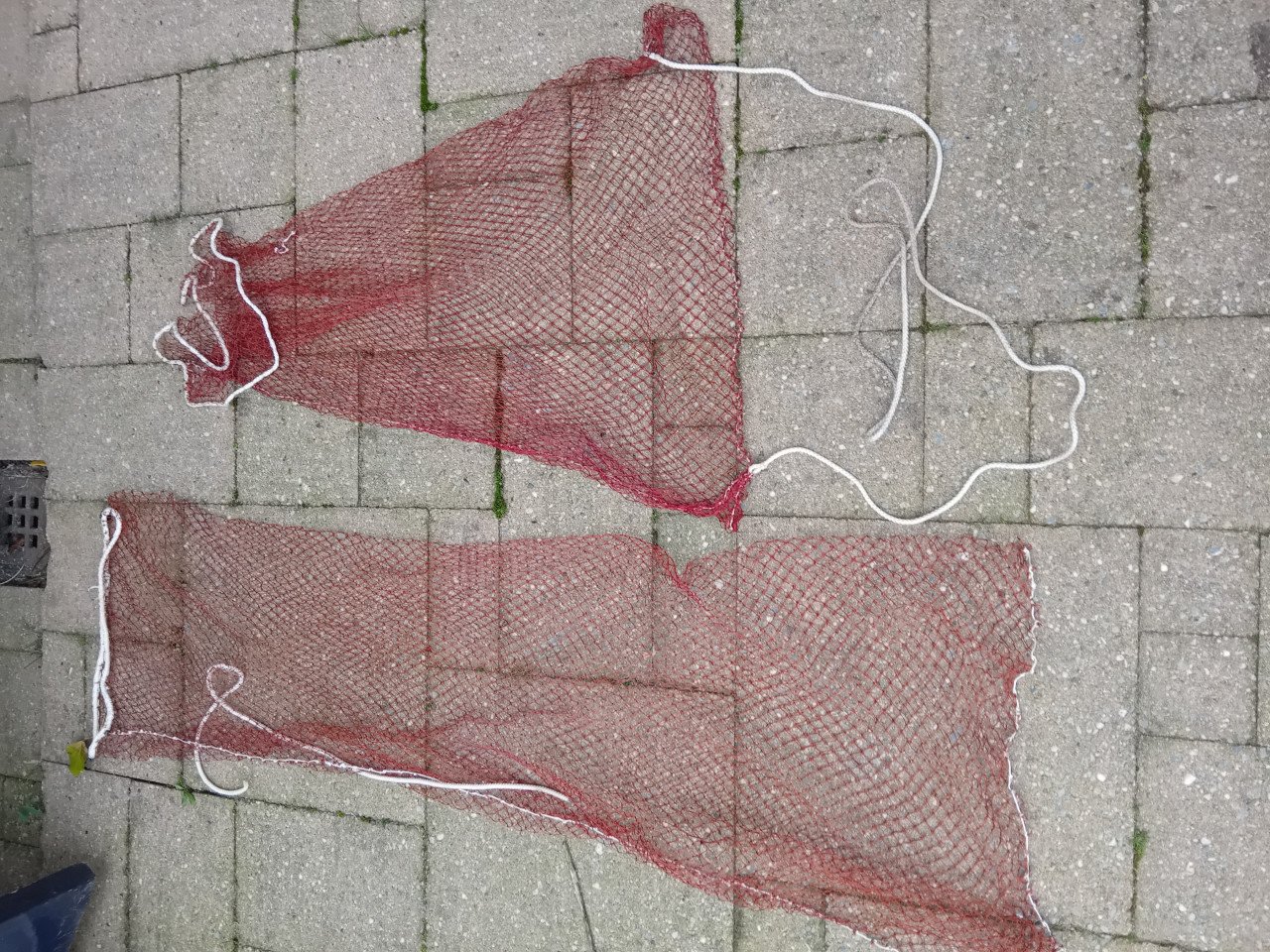 (Zee)Visnetten