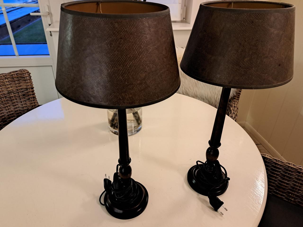2 Lampen  tafelmodel
