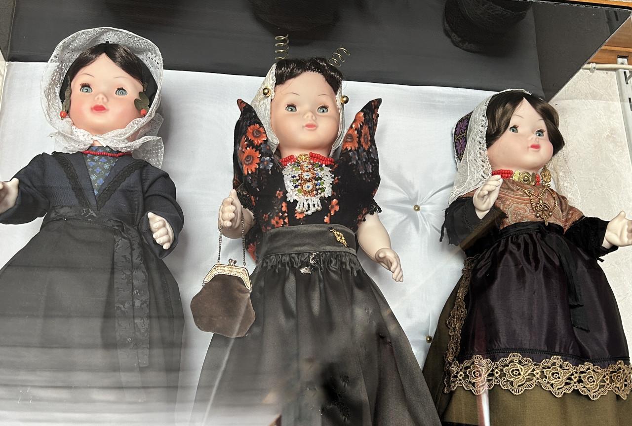 COLLECTIE BOERENPOPPEN