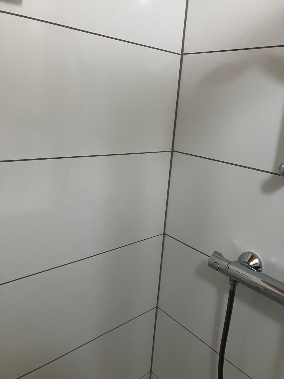 Wandtegels Steenbok Holland wit glans 30x60 cm gerec. 2,52m2