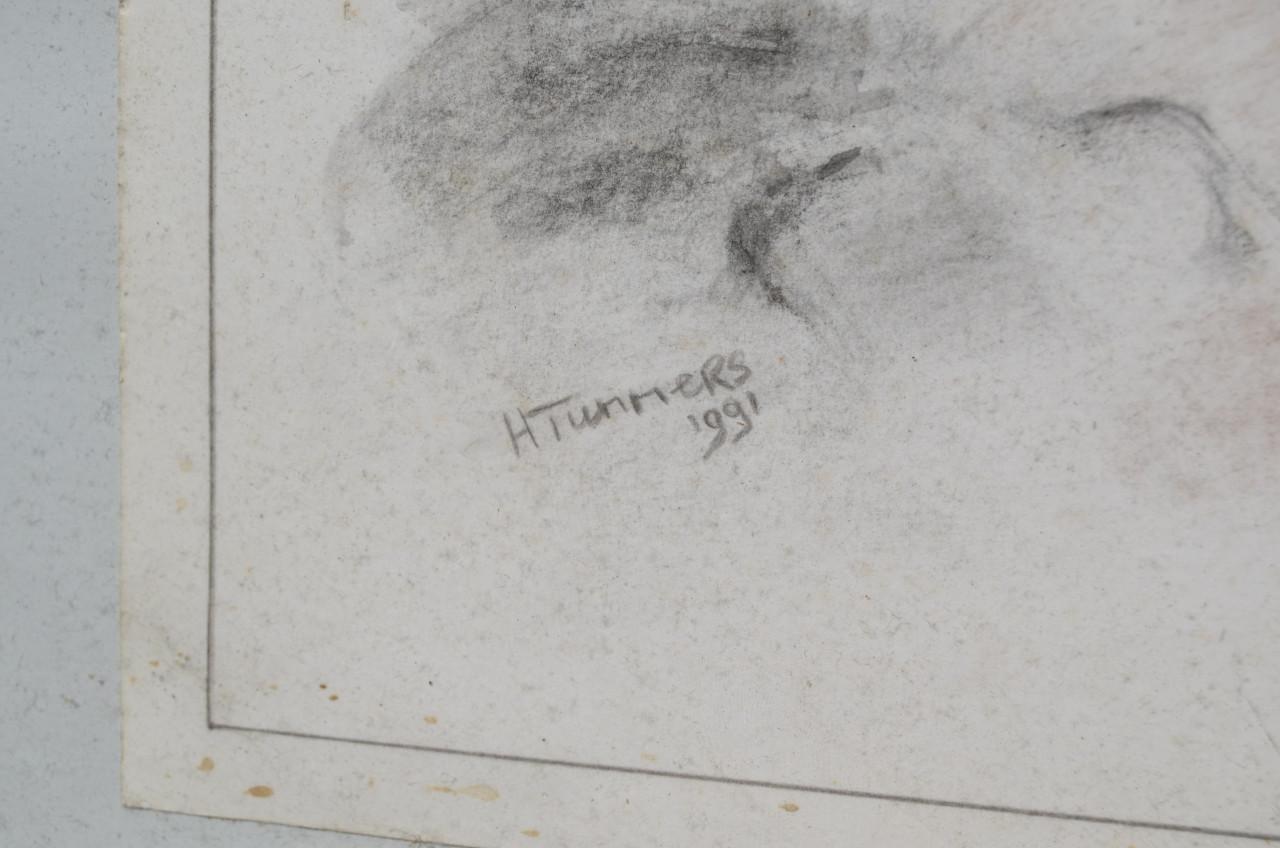 Houtskool 2 bizons in de sneeuw? H. Tummers 1991