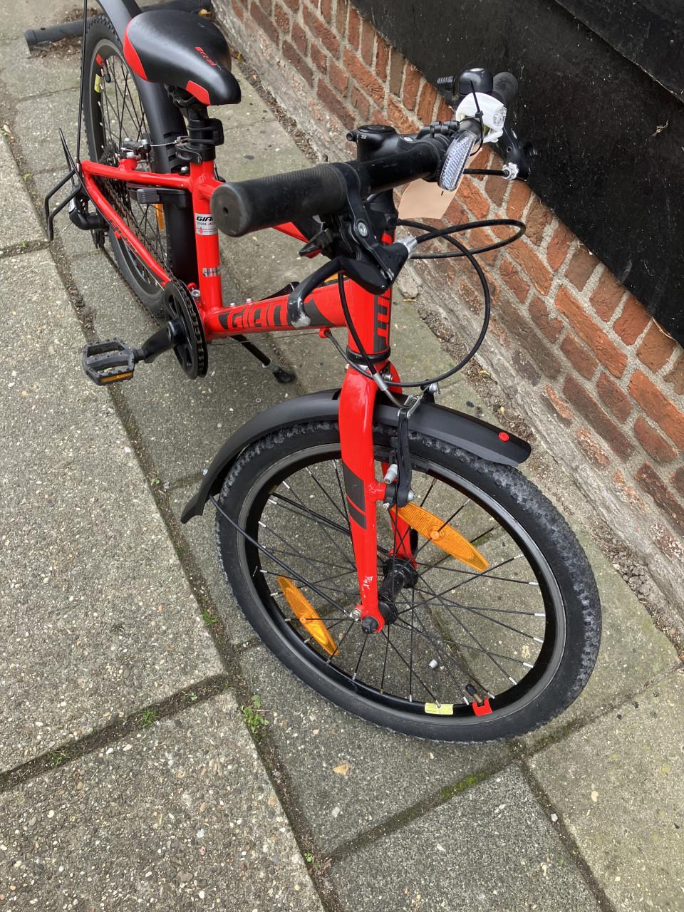 Giant Mountainbike 20 Inch