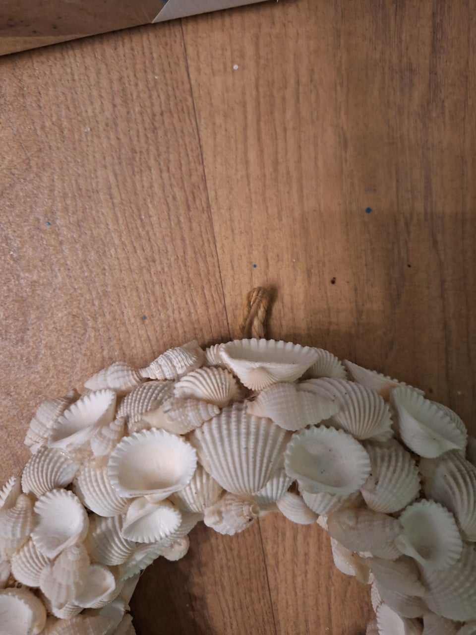 Decoratieve schelpenkrans