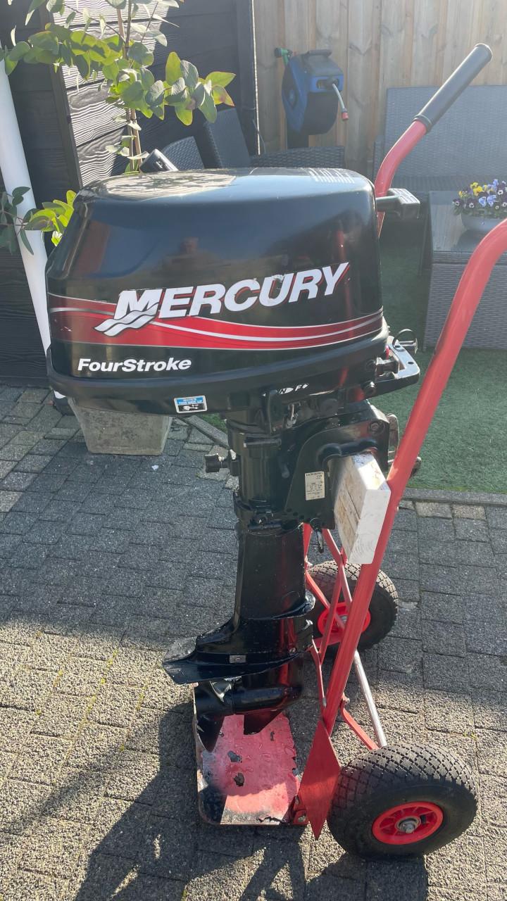 Mercury 5 pk  kortstaart