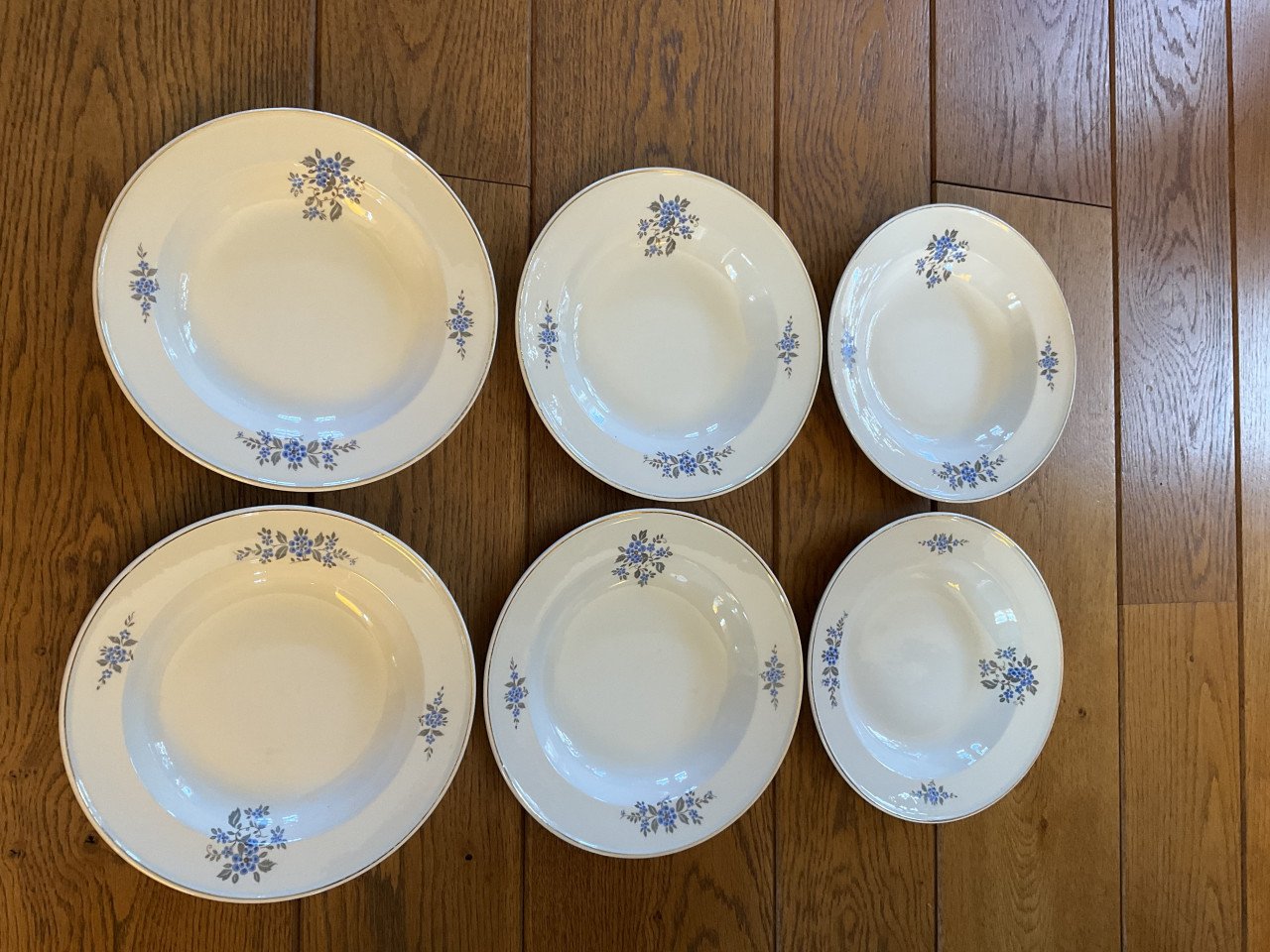 Servies van P.Regout & Co
