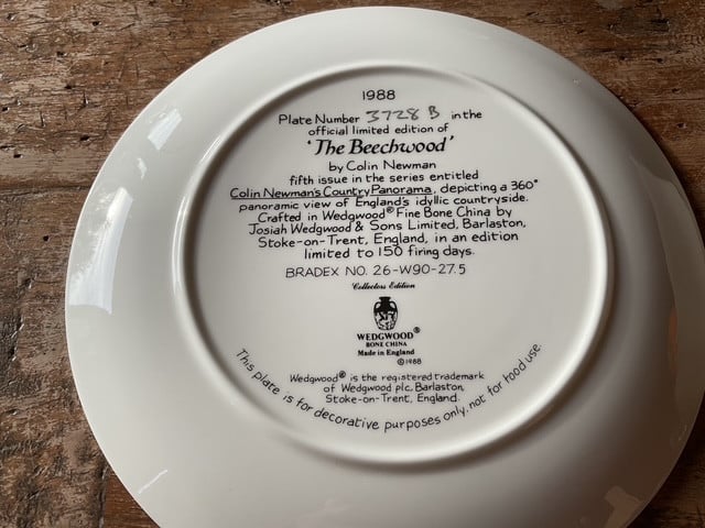 Decoratieve Wedgwood borden