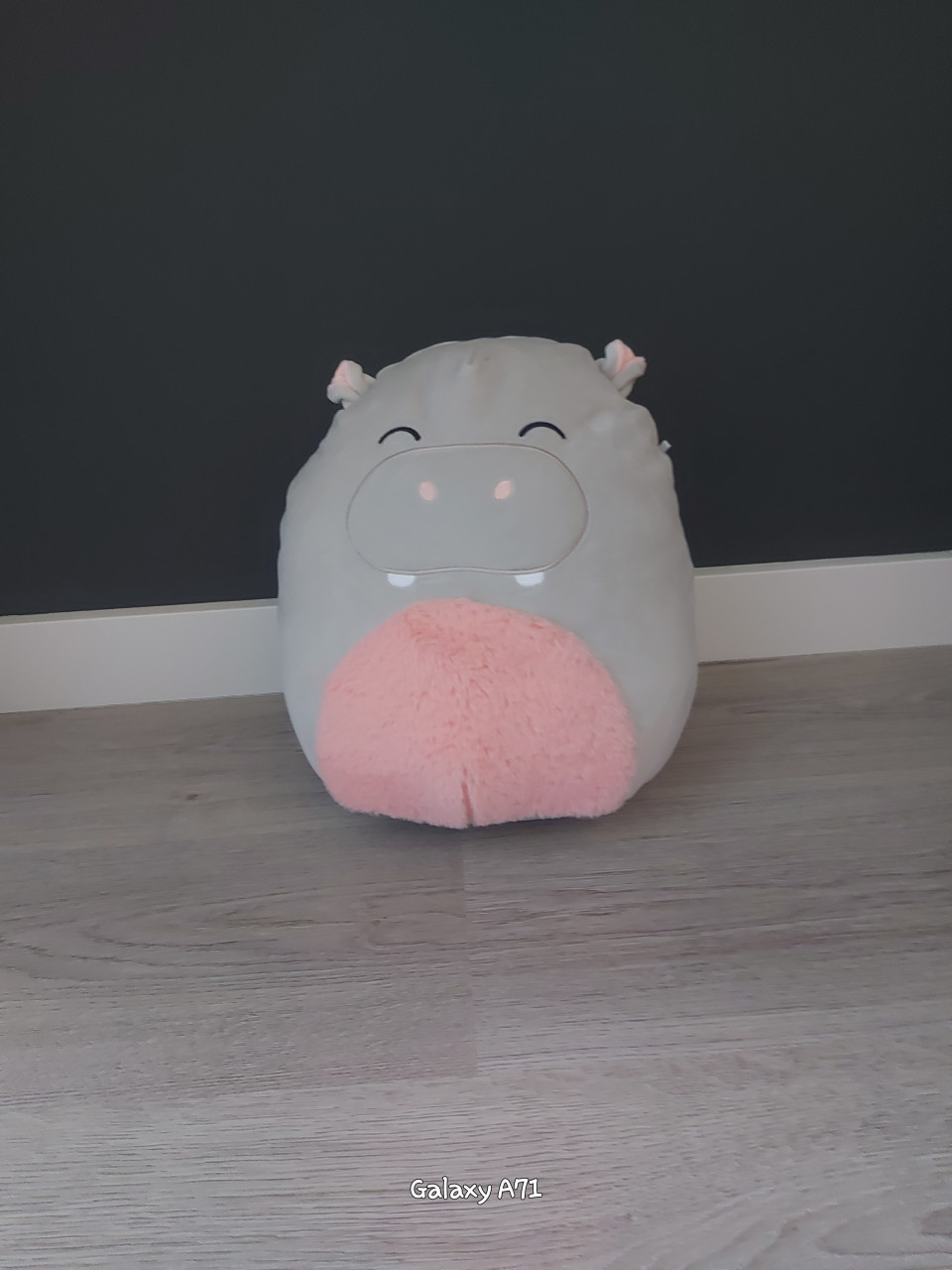 Squishmallows medium size
