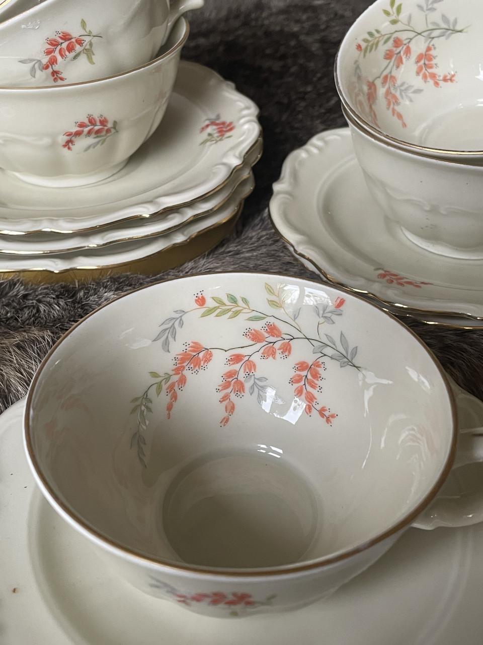 Tielsch-Altwasser kop en schotels Germany(41)