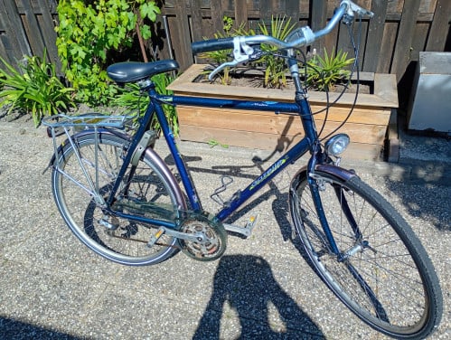 Gazelle medeo