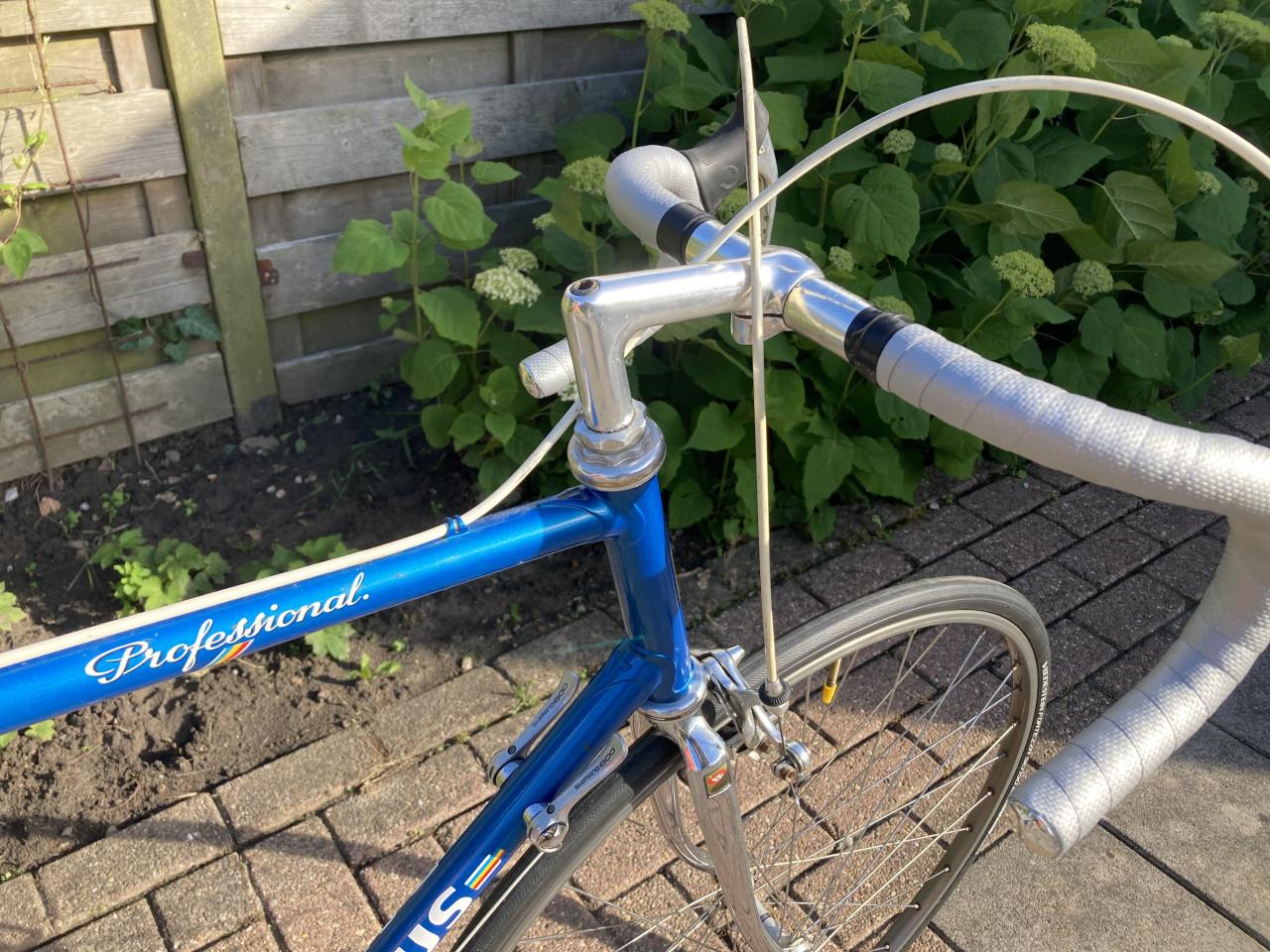 Batavus Professional