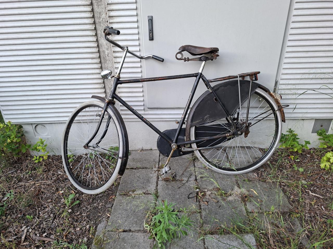 Diverse fietsen mtb, vintage opa fiets , beachcruiser en singlespeeds