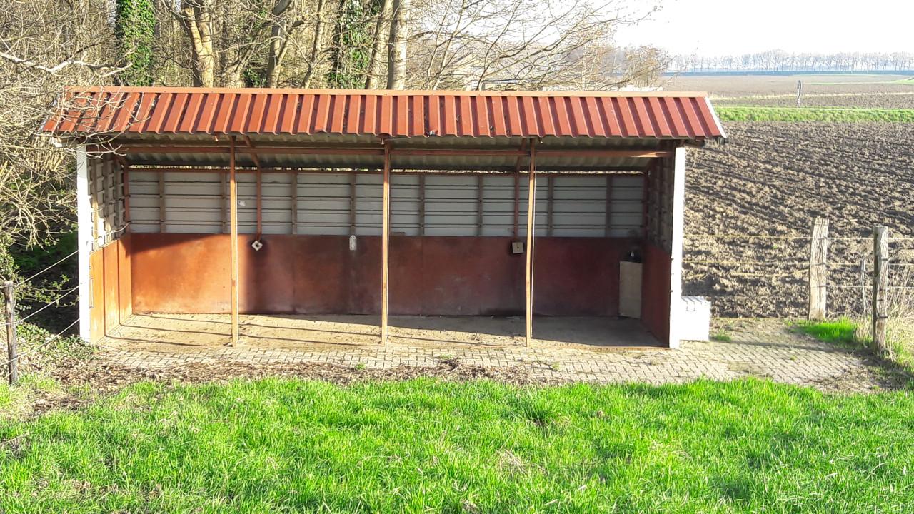 Te huur: weide met schuilstal