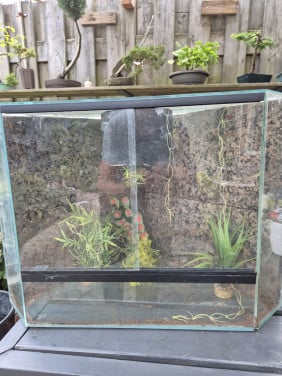 Hoek terrarium.