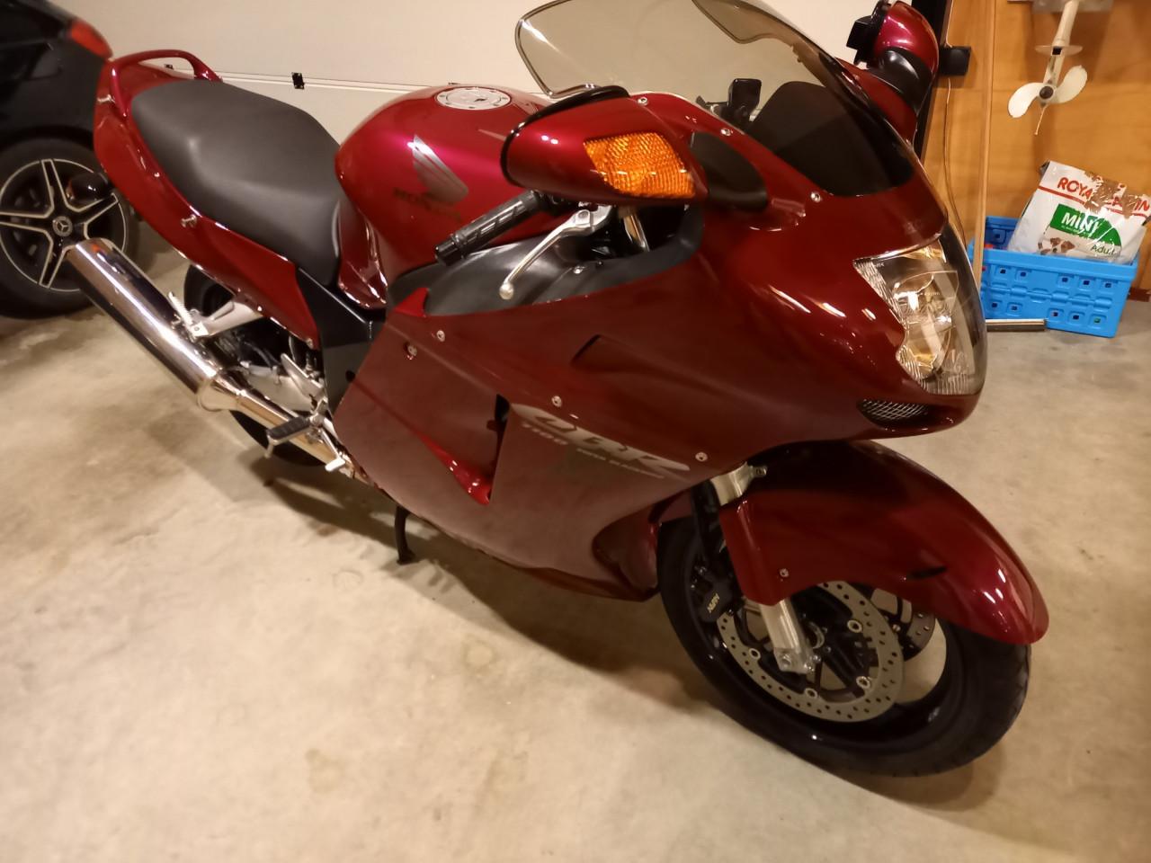 Honda cbr 1100 XX Blackbird