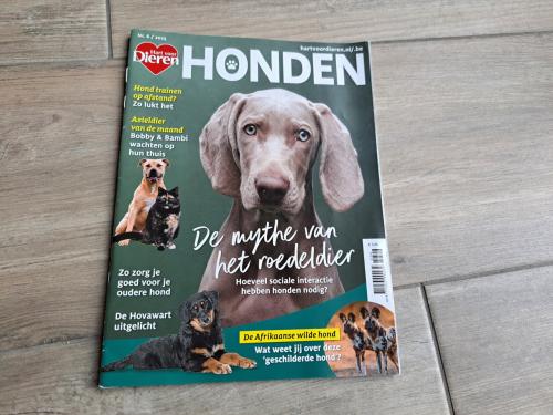 1x Honden/ Hart voor dieren