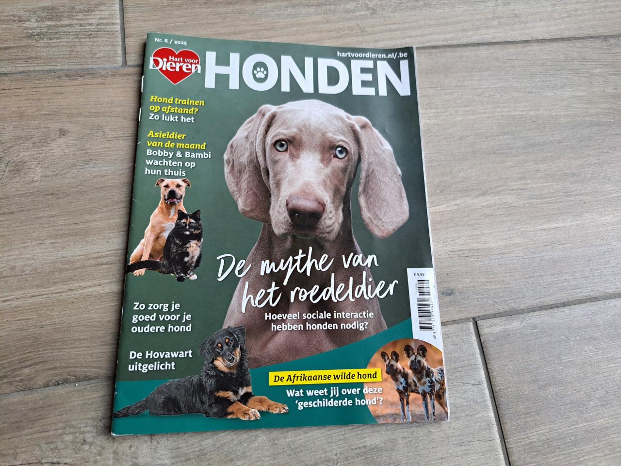 1x Honden/ Hart voor dieren