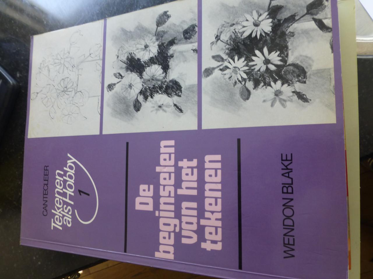 Leren tekenen boeken