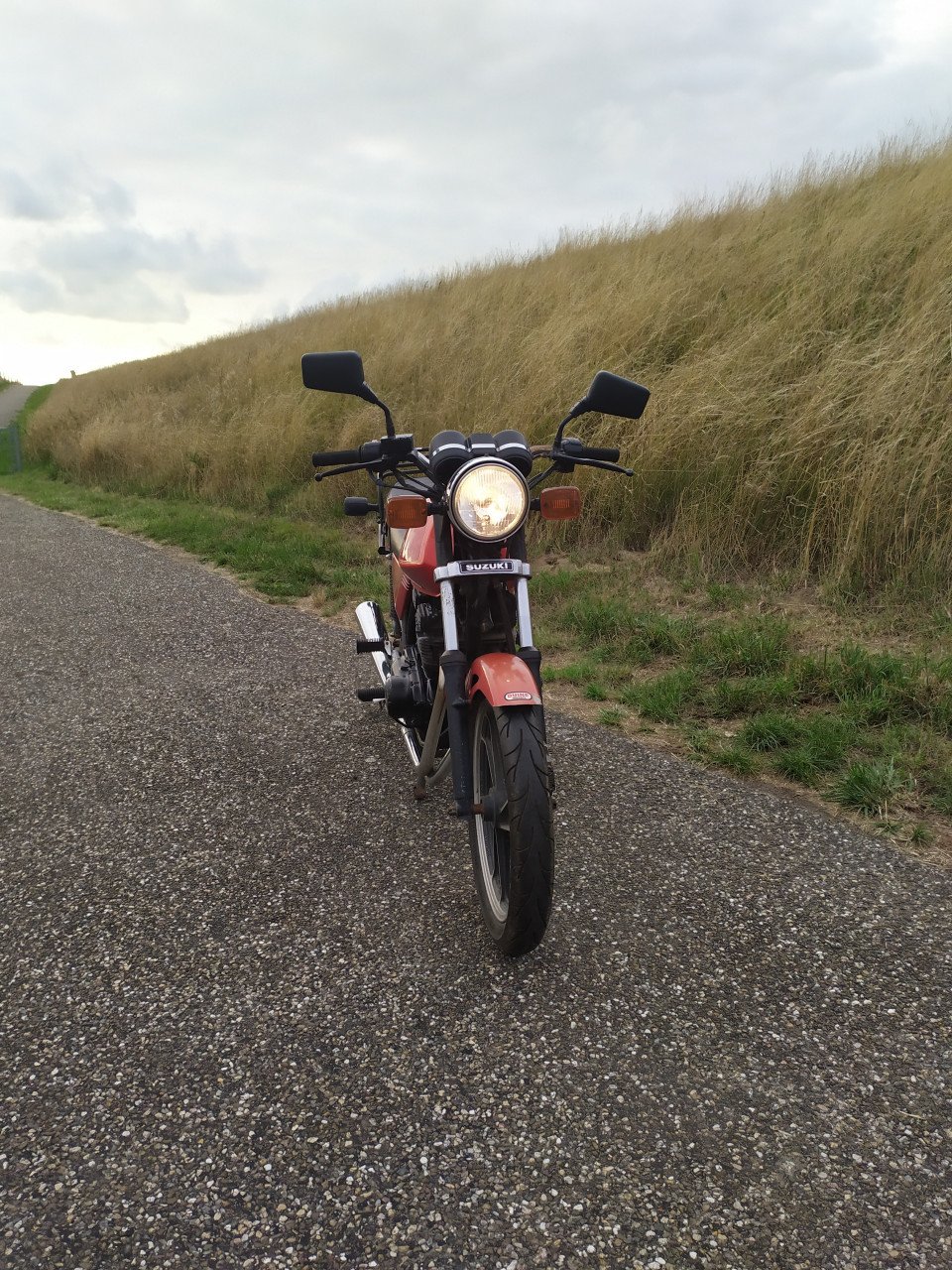 Suzuki gsx 250 e