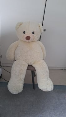 Knuffelbeer