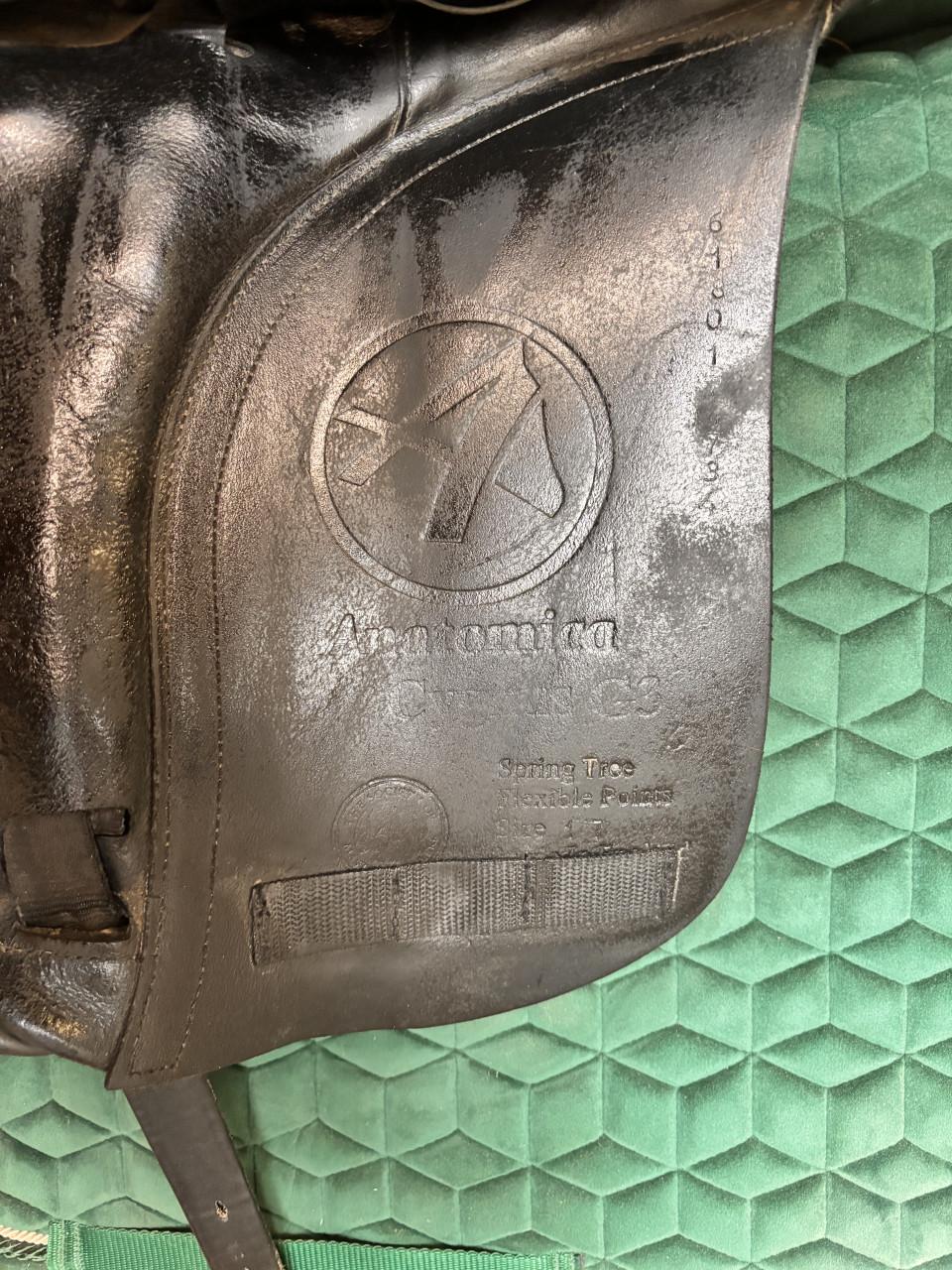 Anatomica Cygnus dressuurzadal