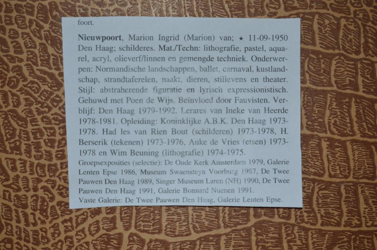 Grote litho Zee-land Marion van Nieuwpoort 21/75