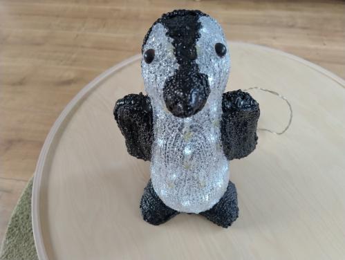 Pinguin met verlichting