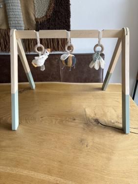 Leuke Little dutch baby gym