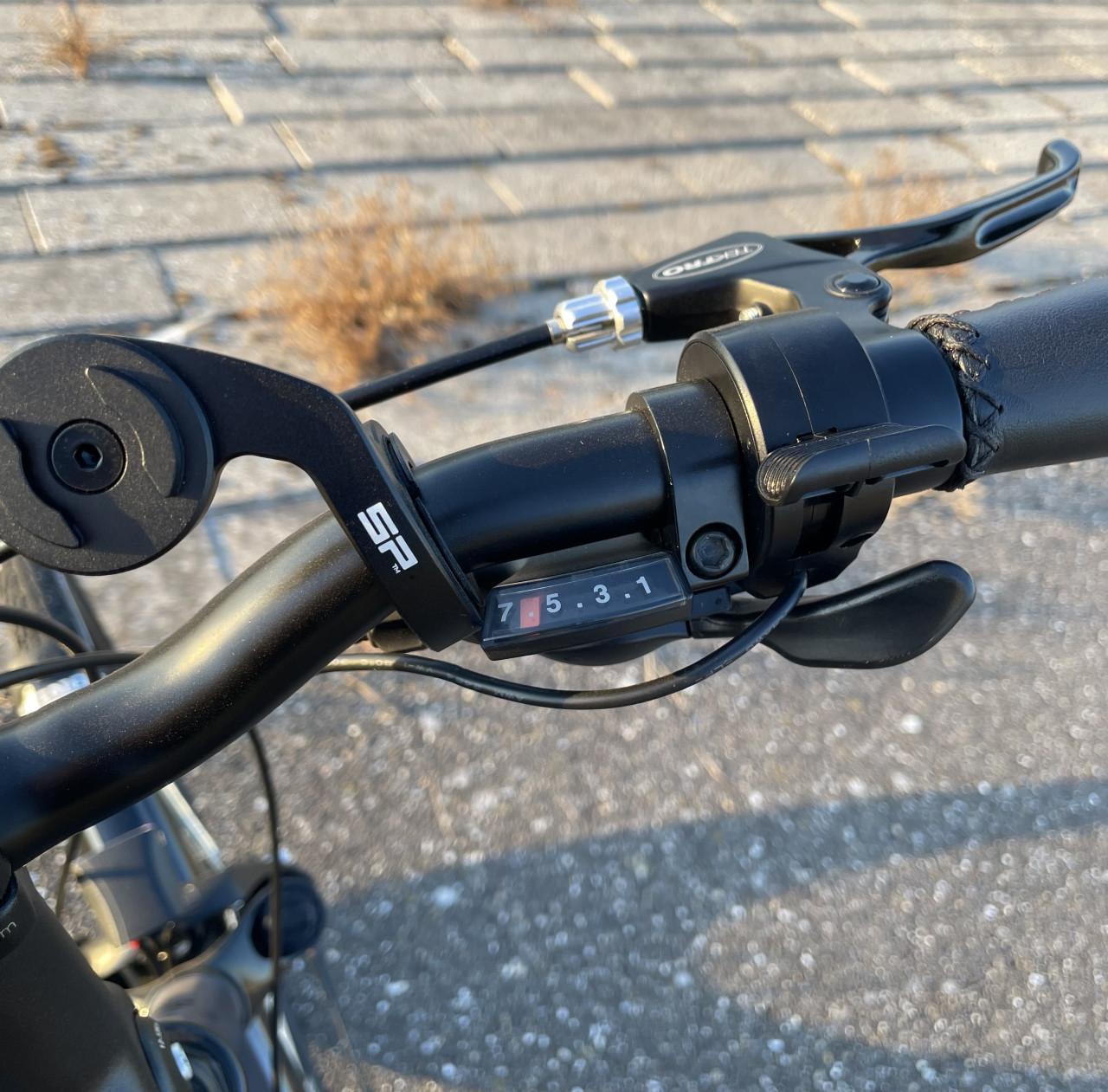 Custom build Pegasus e-bike.