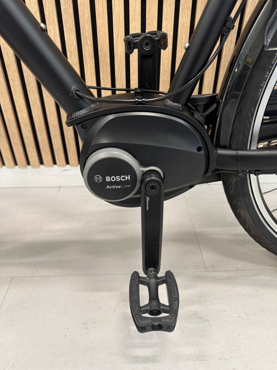 Pegasus Siena E7F Bosch Active Line 61CM 500WH 2608KM