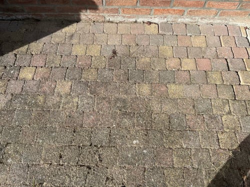 GRATIS klinkers 10x10 cm - 20m2