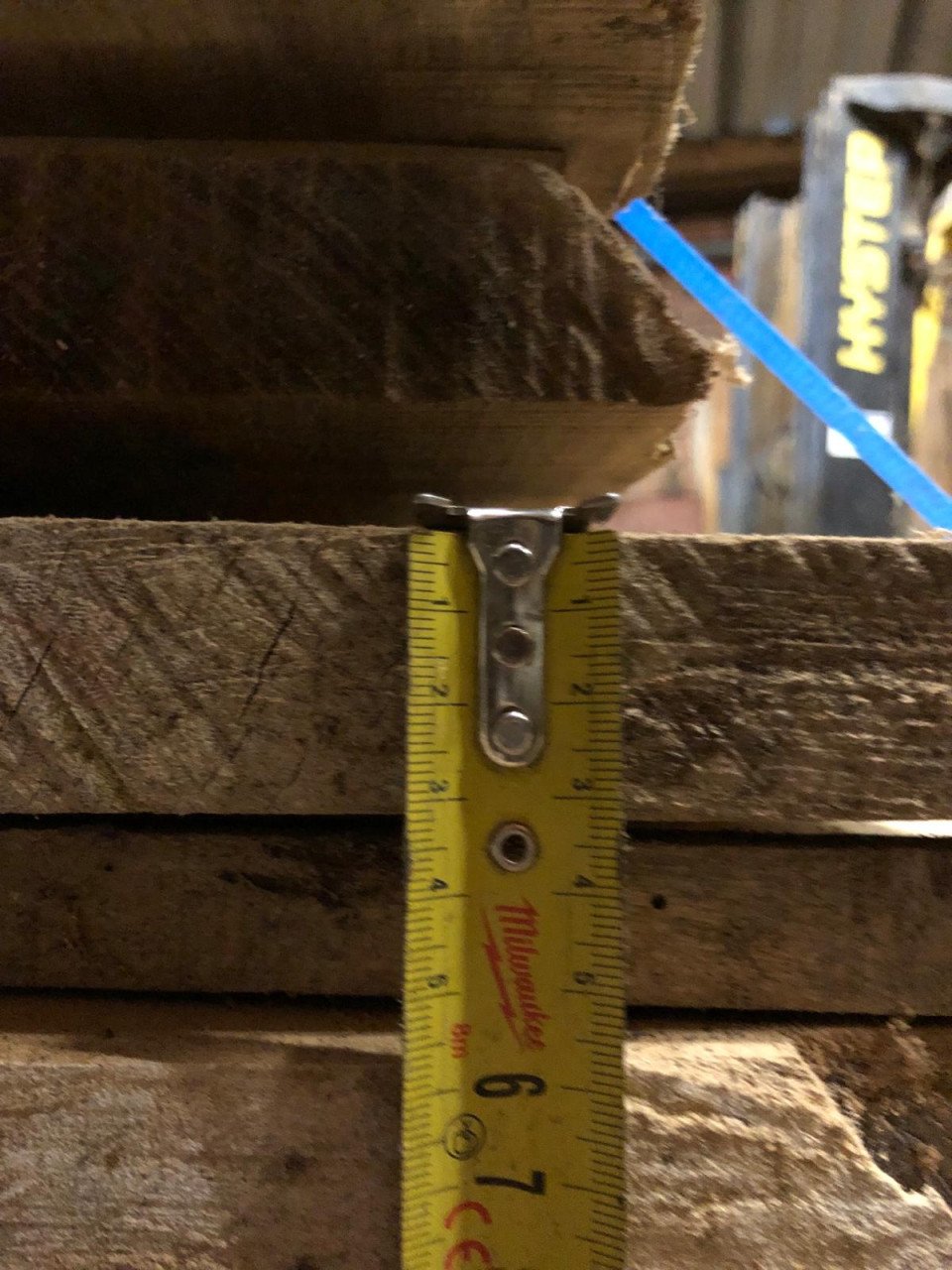 Zeeuwse Iep / Olm stam, hout voor meubels en interieur