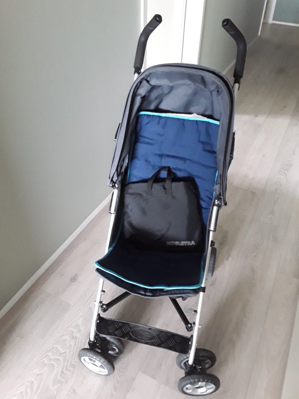 Koelstra buggy