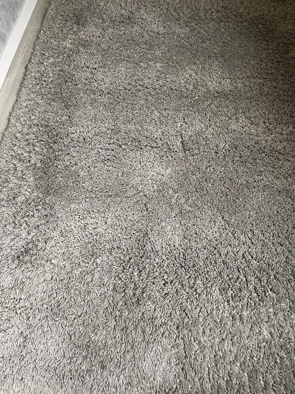 Vloerkleed