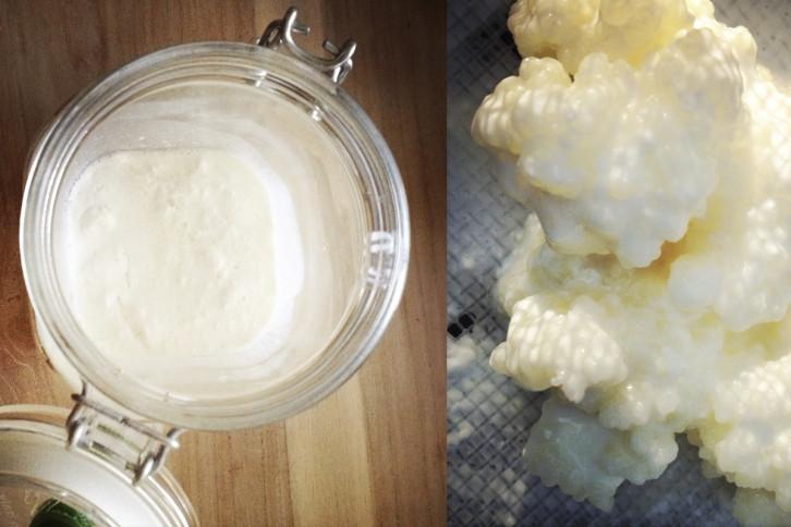 GRATIS: waterkefir of melkkefir, voor een gezonde probiotica drank!