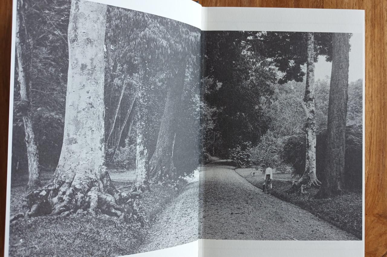 De Tuinen van Buitenzorg van Jan Brokken