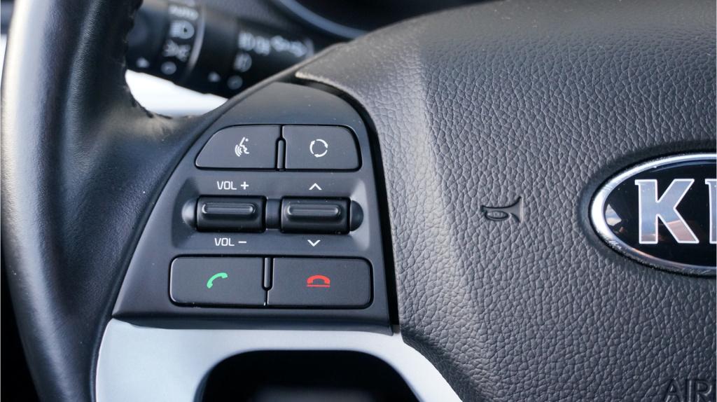 Kia Picanto 1.0 cvvt dynamicline rijklaar incl garantie