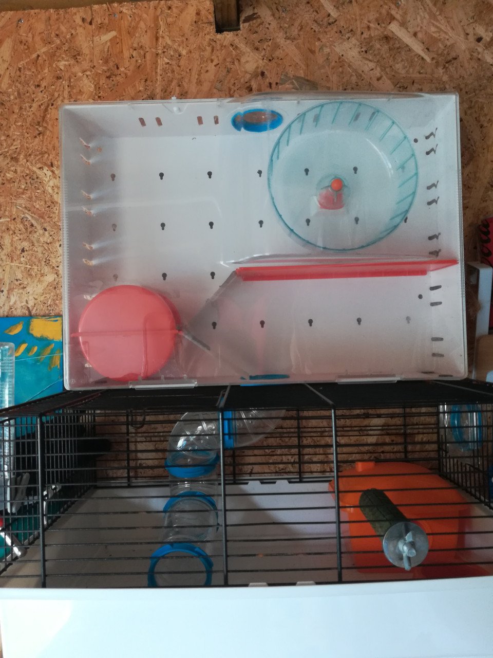 Hamsterkooi