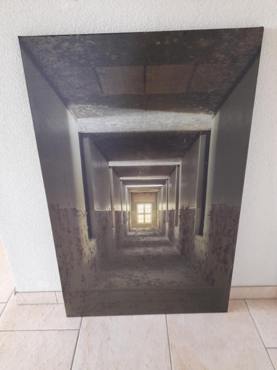 2 Canvas schilderijen  65 x 100 (in goede nette staat)  €15 per stuk