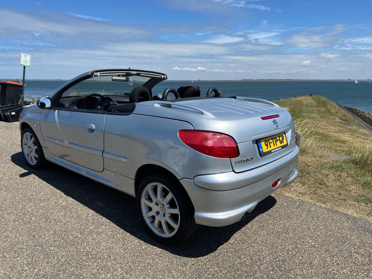 Peugeot 206CC Cabrio in metallic grijs