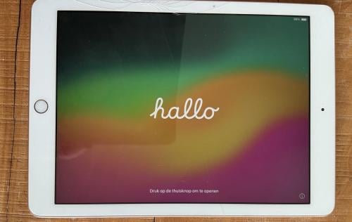 Apple iPad rosé gold (6e generatie) met lader 128 GB