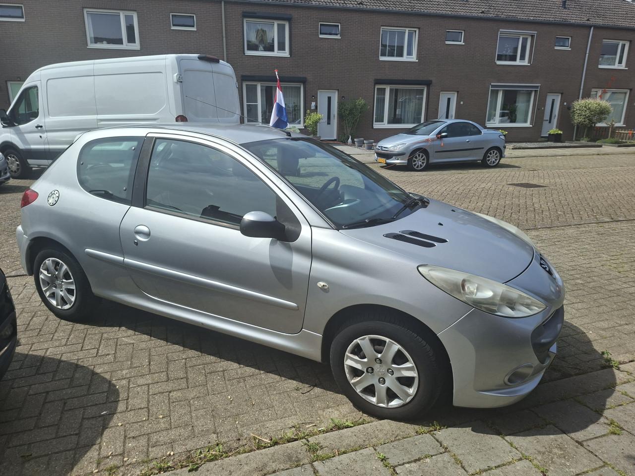 Peugeot 206+