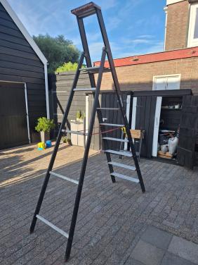 Kelfort Trap