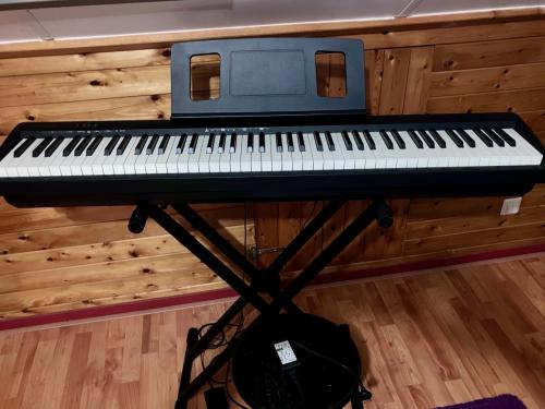 Roland FP-10  stage piano, zgan