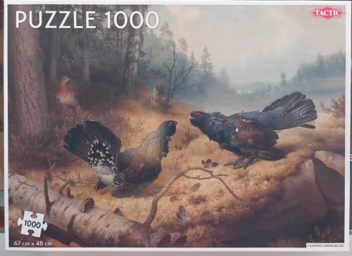 Puzzel met vogels