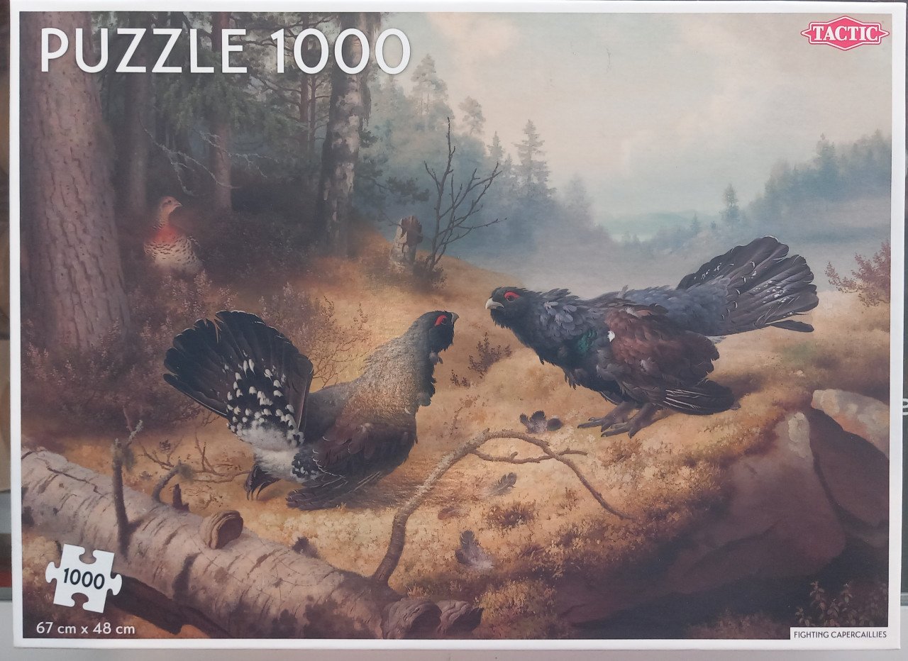 Puzzel met vogels