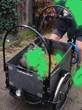 Bakfiets